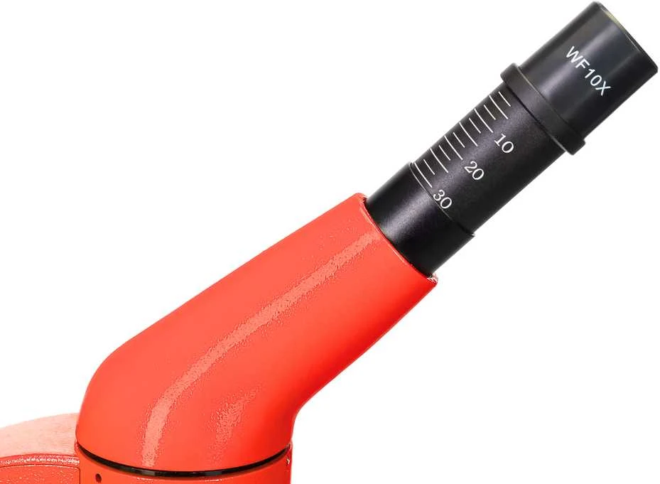 Mikroskopas Levenhuk Rainbow 50L Oranžinis 40x - 800x su eksperimentiniu rinkiniu K50