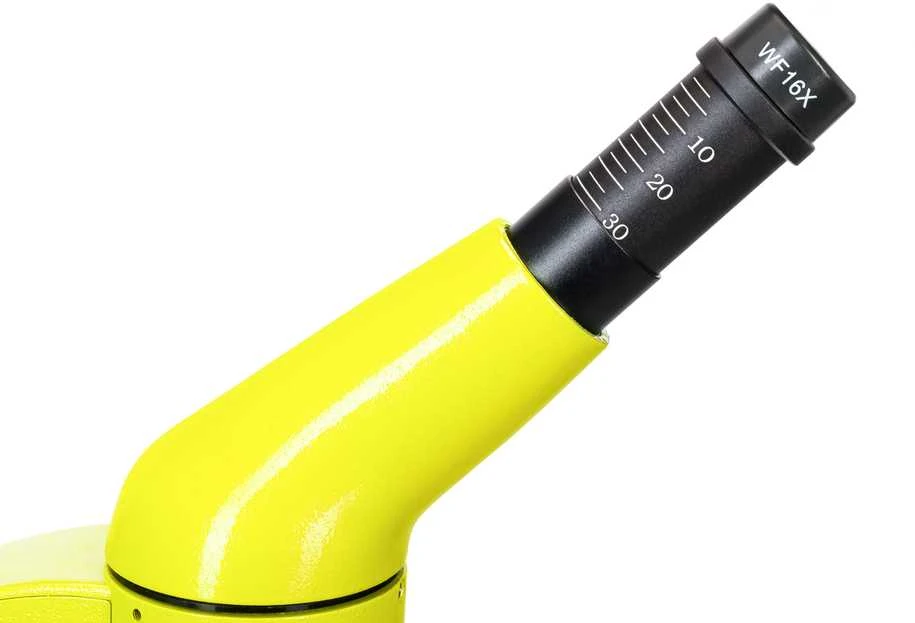 Mikroskopas Levenhuk Rainbow 50L PLUS Lime 64x–1280x su eksperimentiniu rinkiniu K50