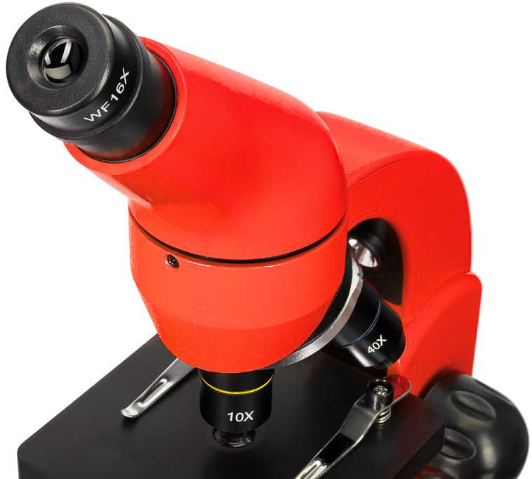 Mikroskopas Levenhuk Rainbow 50L PLUS Oranžinis 64x–1280x su eksperimentiniu rinkiniu K50