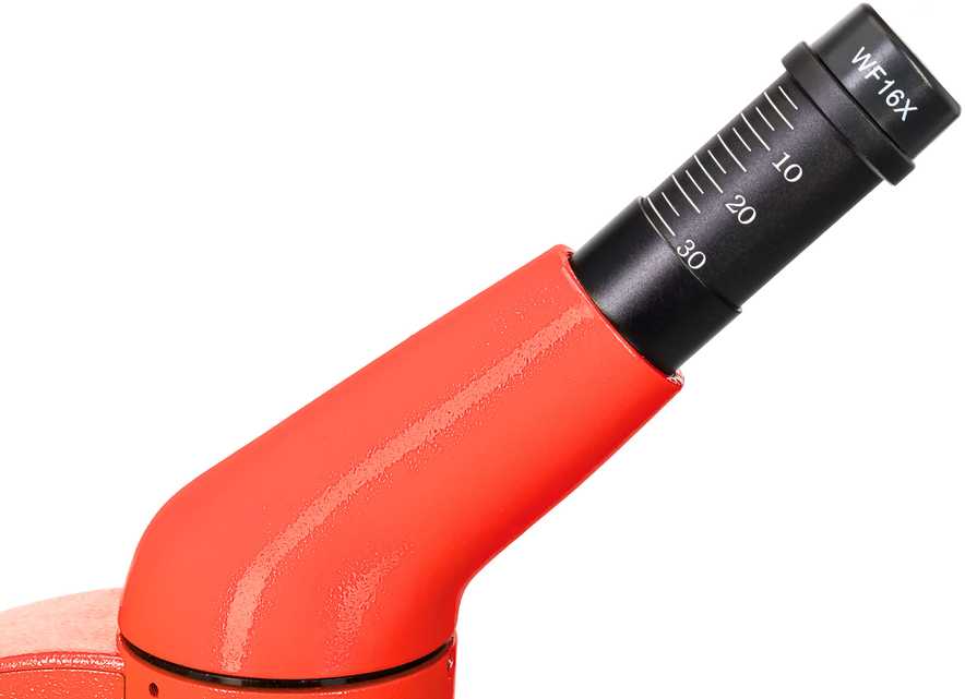 Mikroskopas Levenhuk Rainbow 50L PLUS Oranžinis 64x–1280x su eksperimentiniu rinkiniu K50