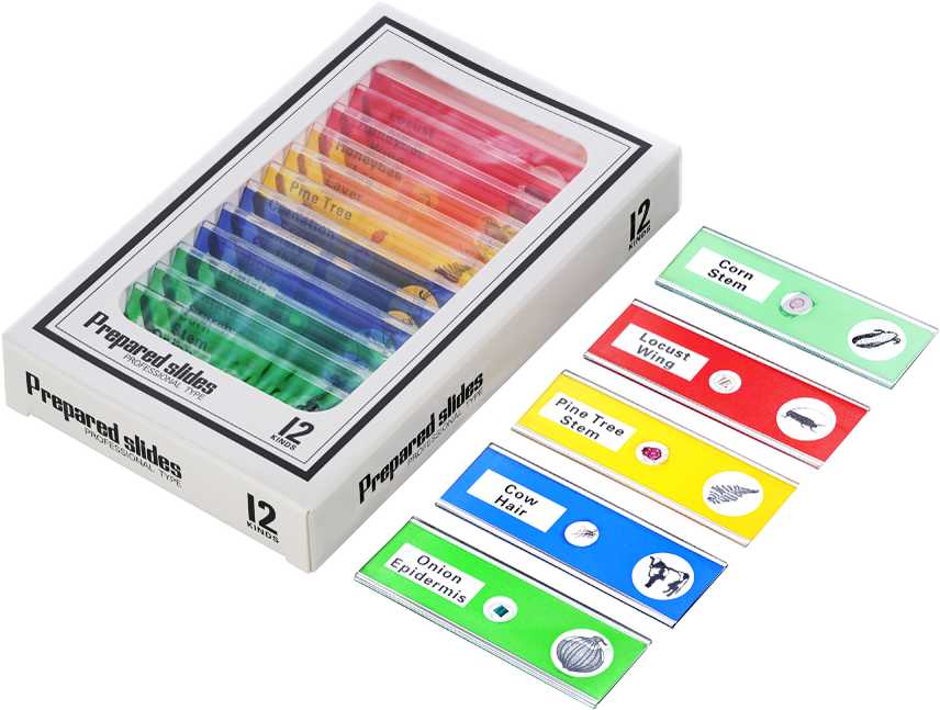Mikroskopas, Levenhuk Rainbow DM700 LCD skaitmeninis, 10x–200x