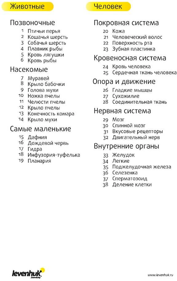 (RU) Levenhuk N80 NG "See it all" Slides Set