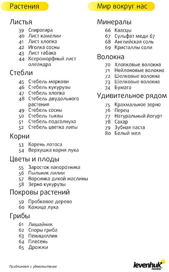 (RU) Levenhuk N80 NG "See it all" Slides Set