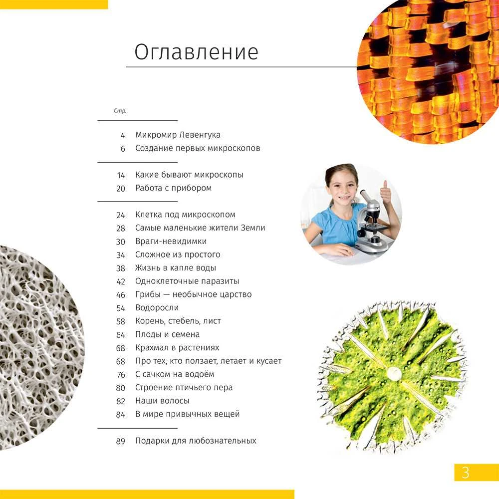 Mikroskopas (RU) Microscope Discovery Femto Polar with book