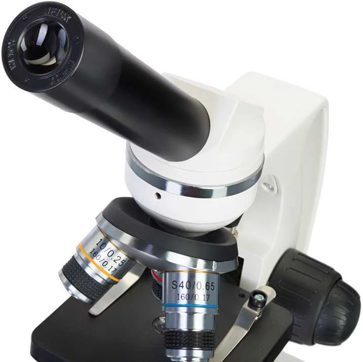 Mikroskopas (RU) Microscope Discovery Femto Polar with book