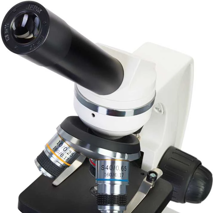 Mikroskopas (RU) Microscope Discovery Femto Polar with book