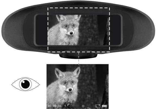 Žiūronai Bresser Skaitmeninis NV žiūronas 3,5x su „Monochrom“ įrašymu