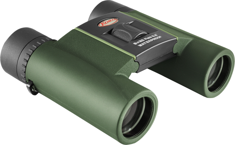 Žiūronai Kowa Visi SV II 8x25