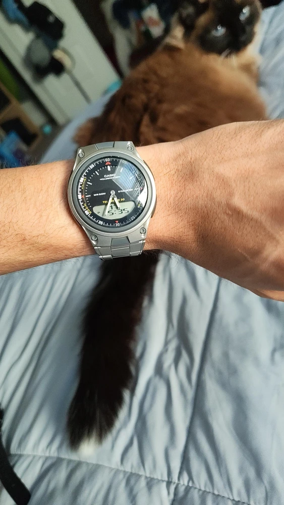 Laikrodis Casio AW-80D-1AVES (zd137a)