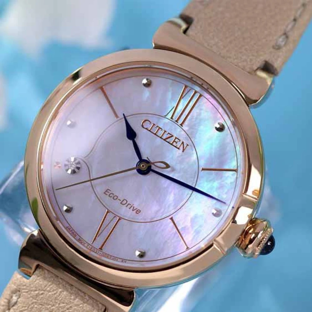 Laikrodis Damski Citizen EM1073-18D