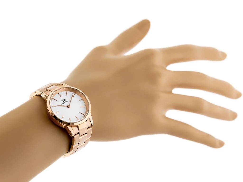 Laikrodis moterims Daniel Wellington DW00100211 - Iconic Link (zx706a)