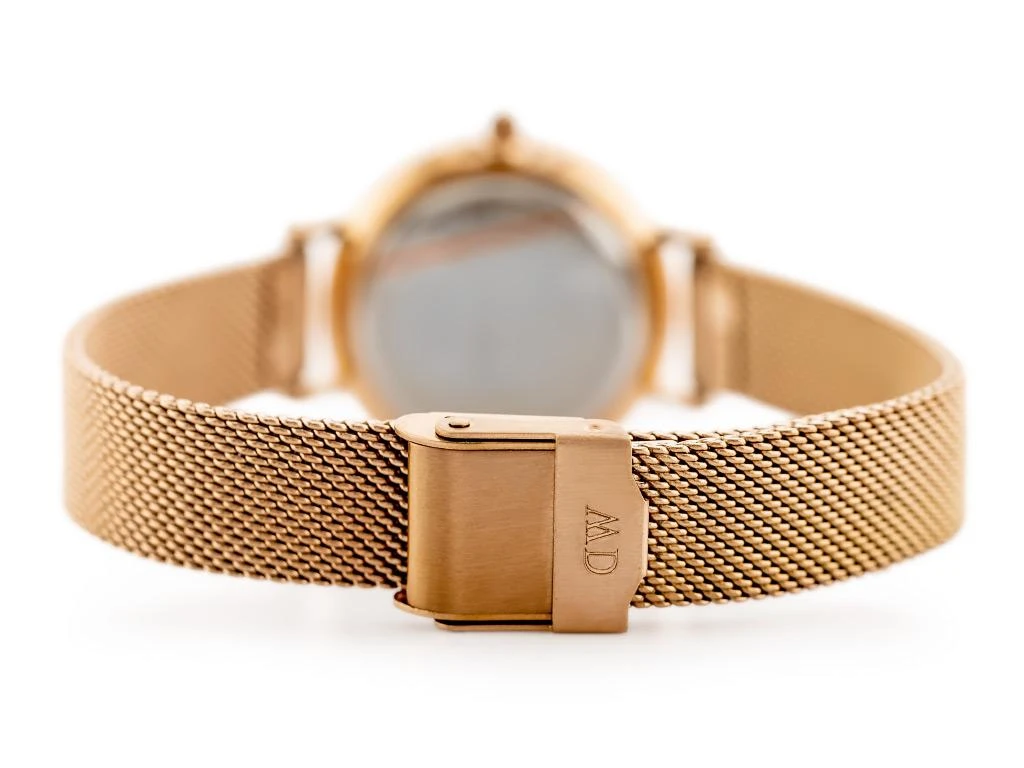 Laikrodis moterims Daniel Wellington DW00100219 - Petite Melrose (zx705a)