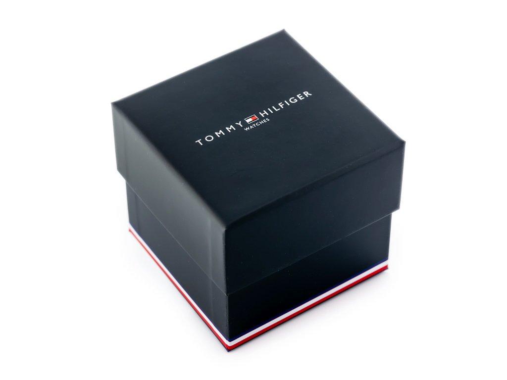Moteriškas laikrodis TOMMY HILFIGER 1782165 PROJECT Z (zf501c)