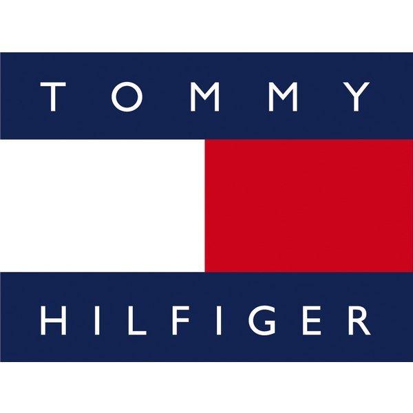 Laikrodis TOMMY HILFIGER MEN'S WATCH 1791576 (zf013b)