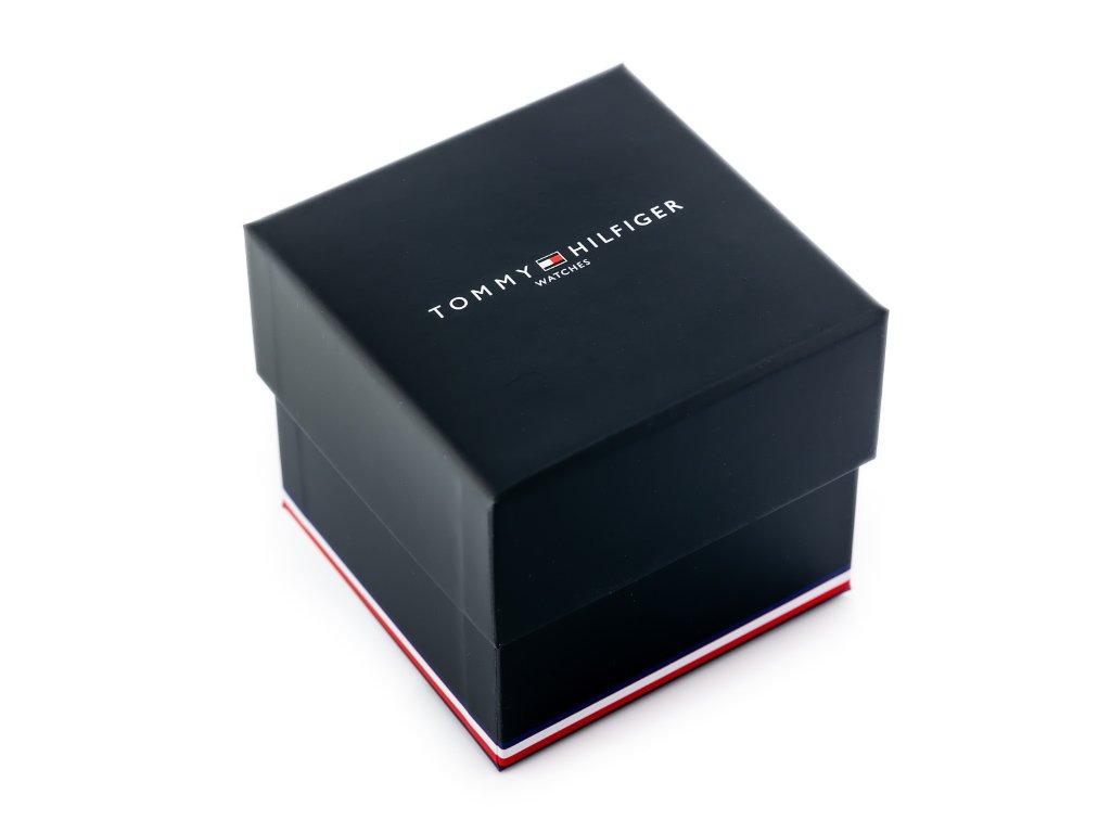 Laikrodis TOMMY HILFIGER MEN'S WATCH 1791576 (zf013b)