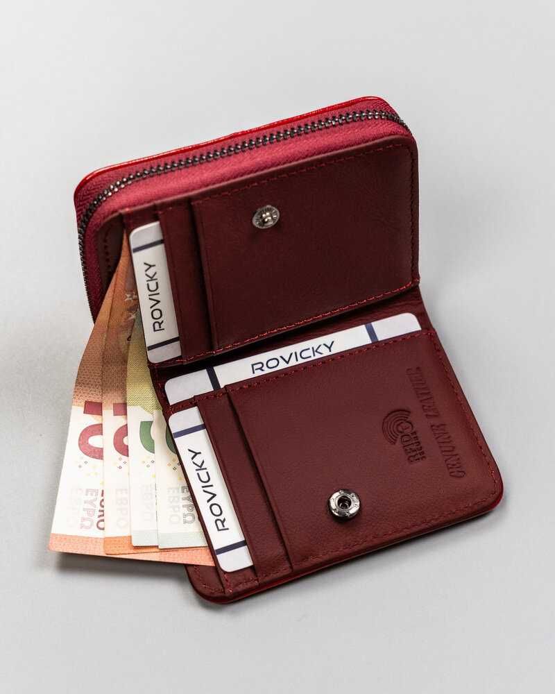 Oda ir amp; odinė piniginė RFID ROVICKY RPX-33-ML