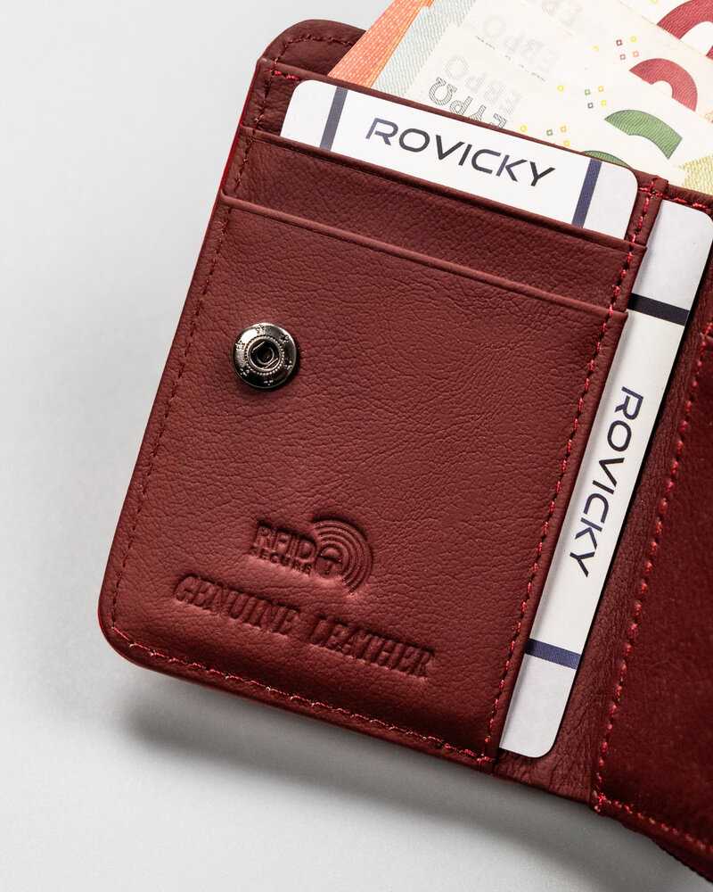 Oda ir amp; odinė piniginė RFID ROVICKY RPX-33-ML