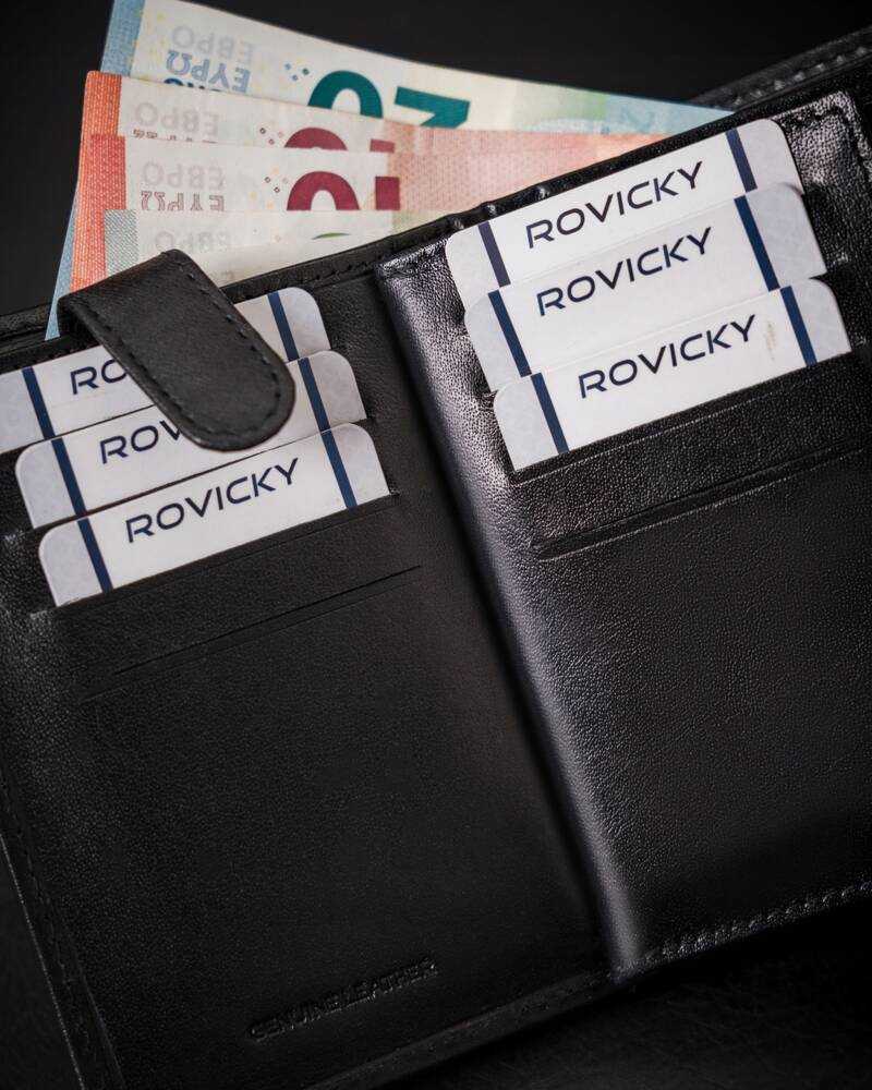 Stilinga vyriška odinė piniginė be užsegimo - Rovicky