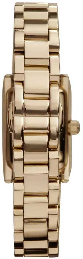 Moteriškas laikrodis EMPORIO ARMANI AR3172 (zi544a)