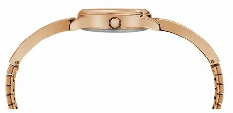 Moteriškas laikrodis TIMEX TW2R98400 + BOX