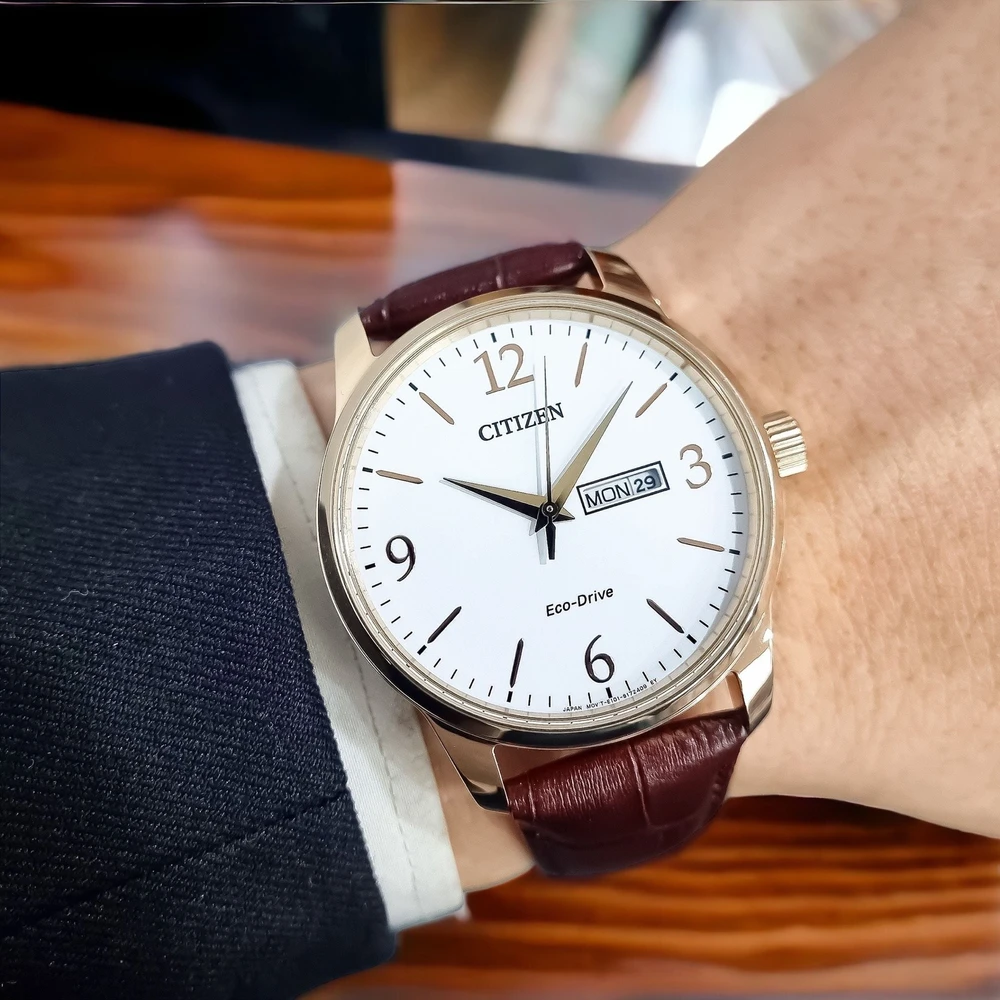 Laikrodis „Citizen Eco-Drive BM8553-16AC“