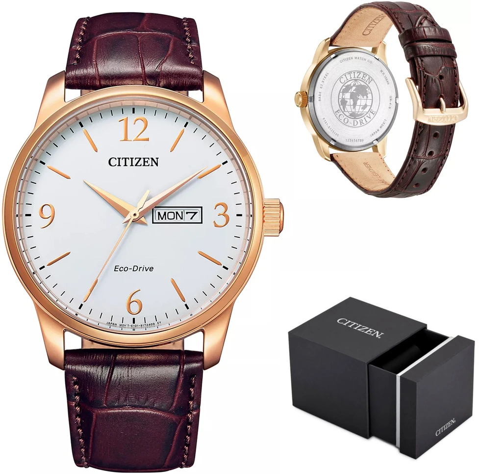 Laikrodis „Citizen Eco-Drive BM8553-16AC“
