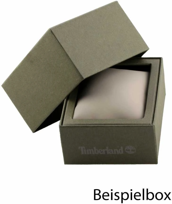Laikrodis Timberland Nickerson dvigubas laikas TDWGF2100202