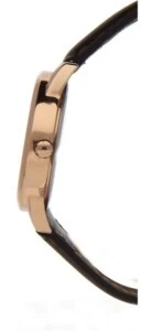 Vyriškas laikrodis TIMEX T2P563