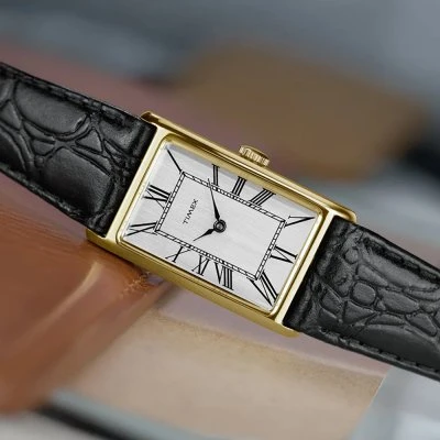 Vyriškas laikrodis TIMEX TW2Y56200 + BOX
