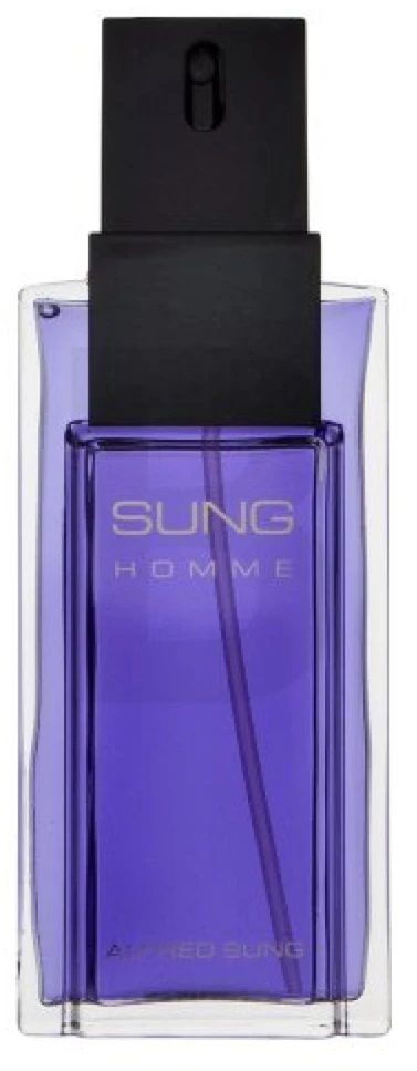 Alfred Sung Sung Homme EDT tualetinis vanduo vyrams, 100 ml