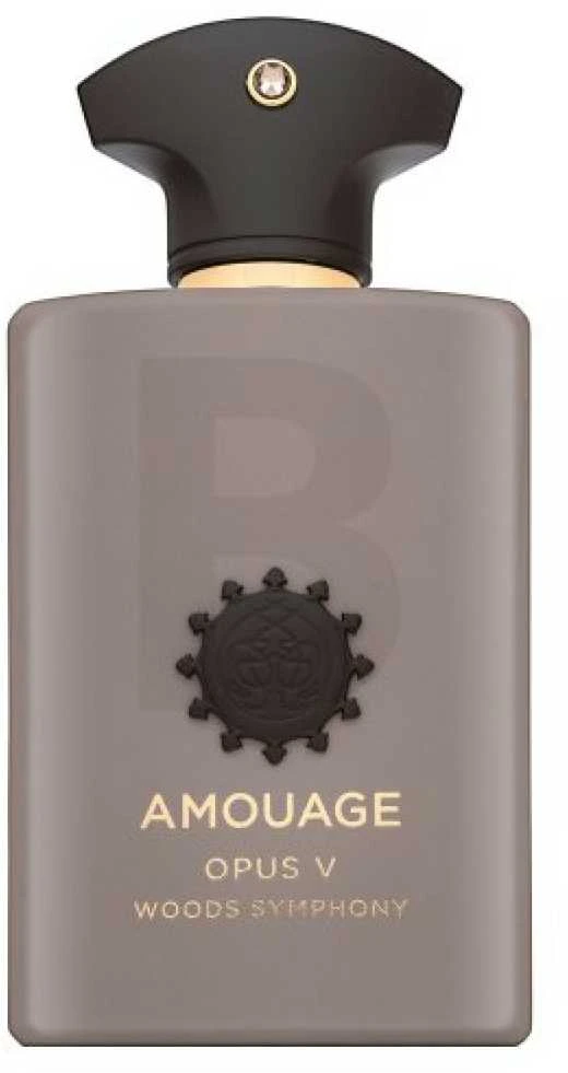 Amouage Opus V Woods Symphony EDP kvepalai vyrams, 100 ml
