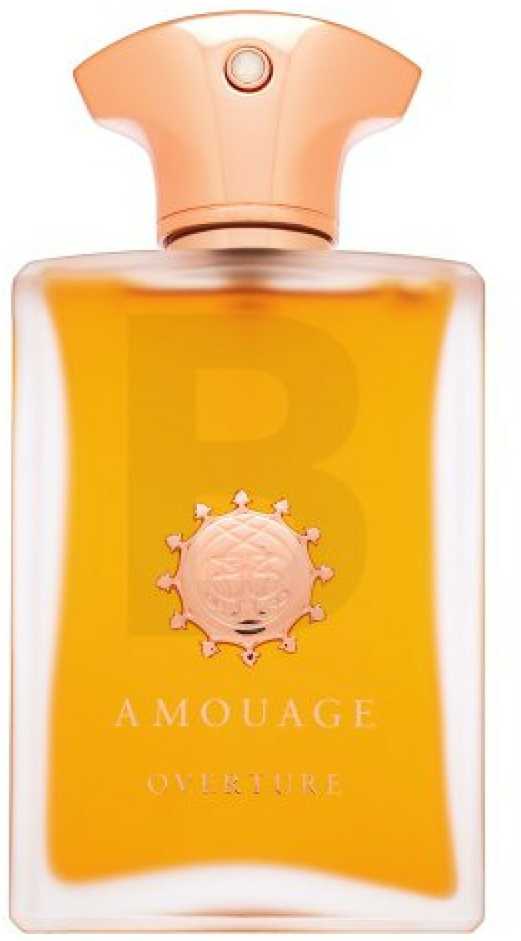 Amouage Overture EDP parfumuotas vanduo vyrams, 100 ml