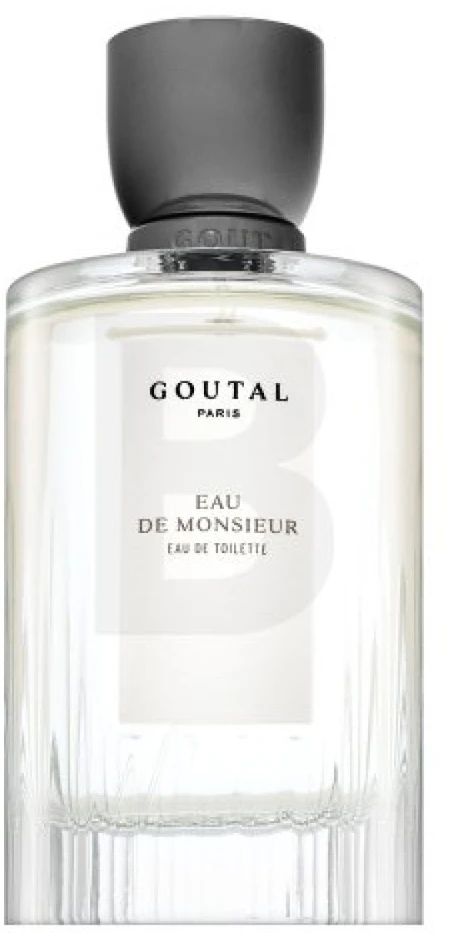 Annick Goutal Eau De Monsieur EDT tualetinis vanduo vyrams, 100 ml