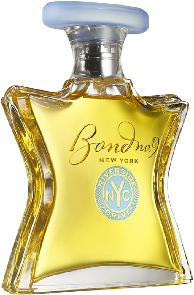 Bond No. 9 Riverside Drive EDP parfumuotas vanduo vyrams, 100 ml