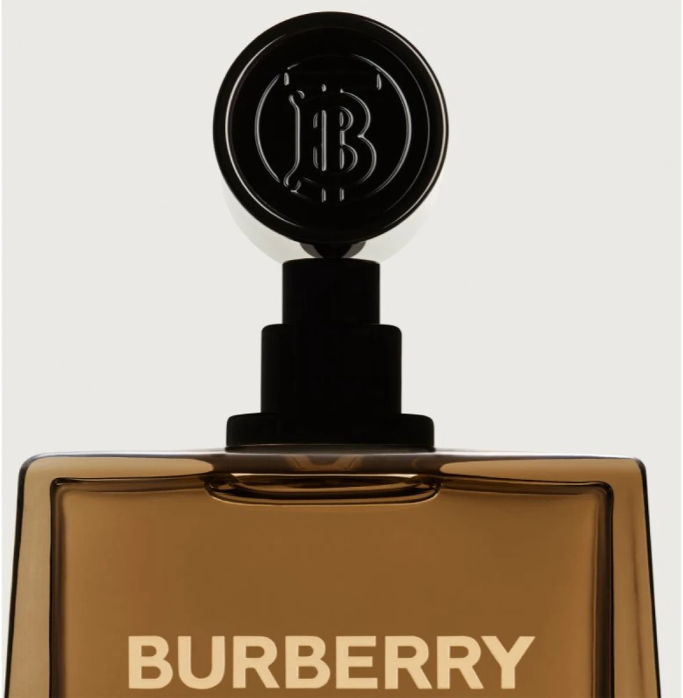 Burberry Hero EDP parfumuotas vanduo vyrams, 50 ml