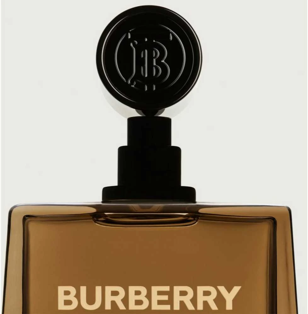 Burberry Hero EDP parfumuotas vanduo vyrams, 50 ml