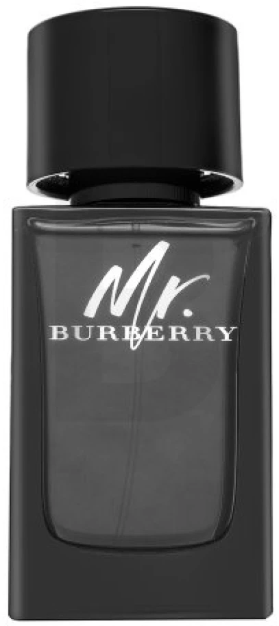 Burberry Mr. Burberry EDP parfumuotas vanduo vyrams, 100 ml