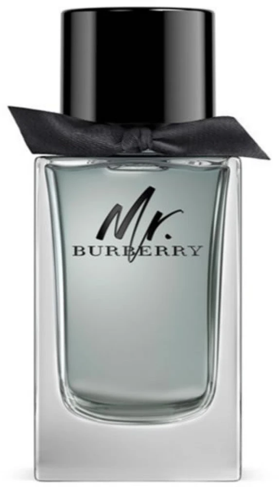 Burberry Mr. Burberry EDT tualetinis vanduo vyrams, 100 ml