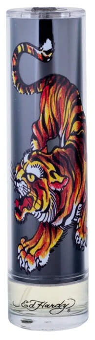 Christian Audigier Ed Hardy Men´s EDT tualetinis vanduo vyrams, 100 ml