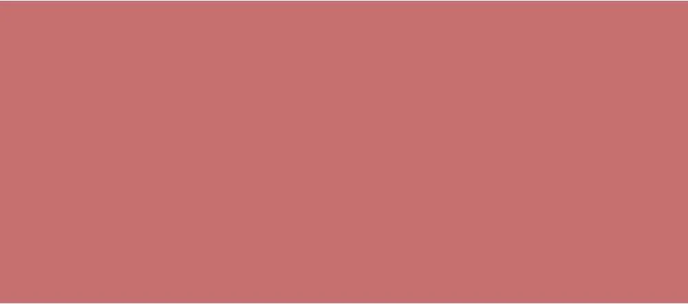 „Clarins“ drėkinamieji lūpų dažai „Joli Rouge“ 3,5 g, 731 rožių uogų