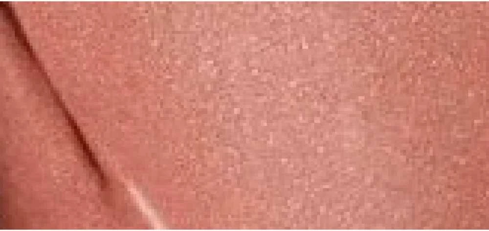 „Clarins“ drėkinamieji lūpų dažai „Joli Rouge“ 3,5 g, 788 Peach Nude