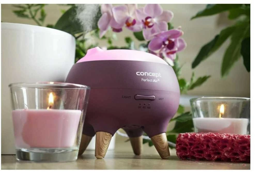 Concept Koncepcinis kvapų difuzorius Berry DF1011 Perfect Air