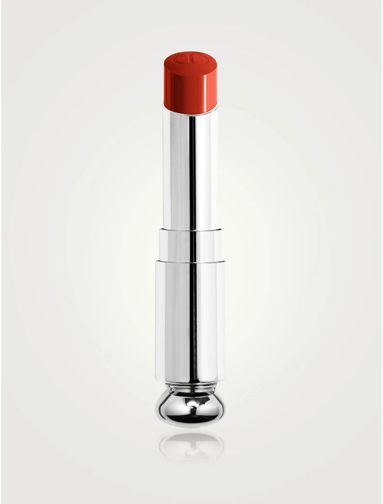 Dior Addict lūpų dažų N 008 papildymas