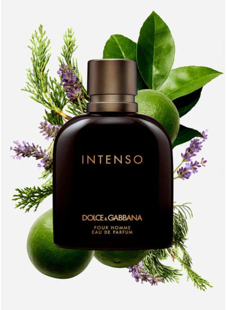 Kvepalai vyrams Dolce & Gabbana Pour Homme Intenso EDP, 125 ml