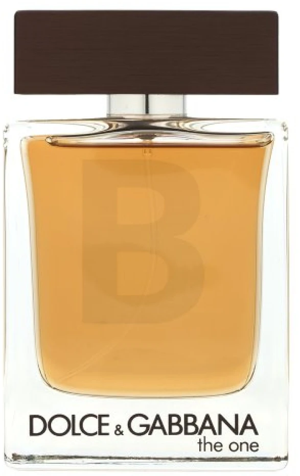 Kvepalai vyrams Dolce & Gabbana The One EDT, 100 ml