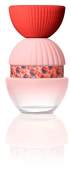 El Ganso Fun y Chic EDP 100 Purškiklis