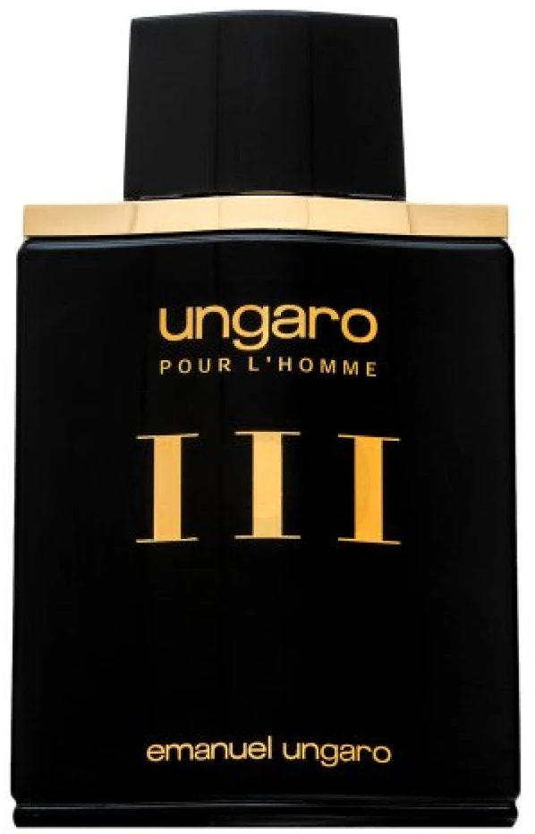 Emanuel Ungaro Homme III EDT tualetinis vanduo vyrams, 100 ml