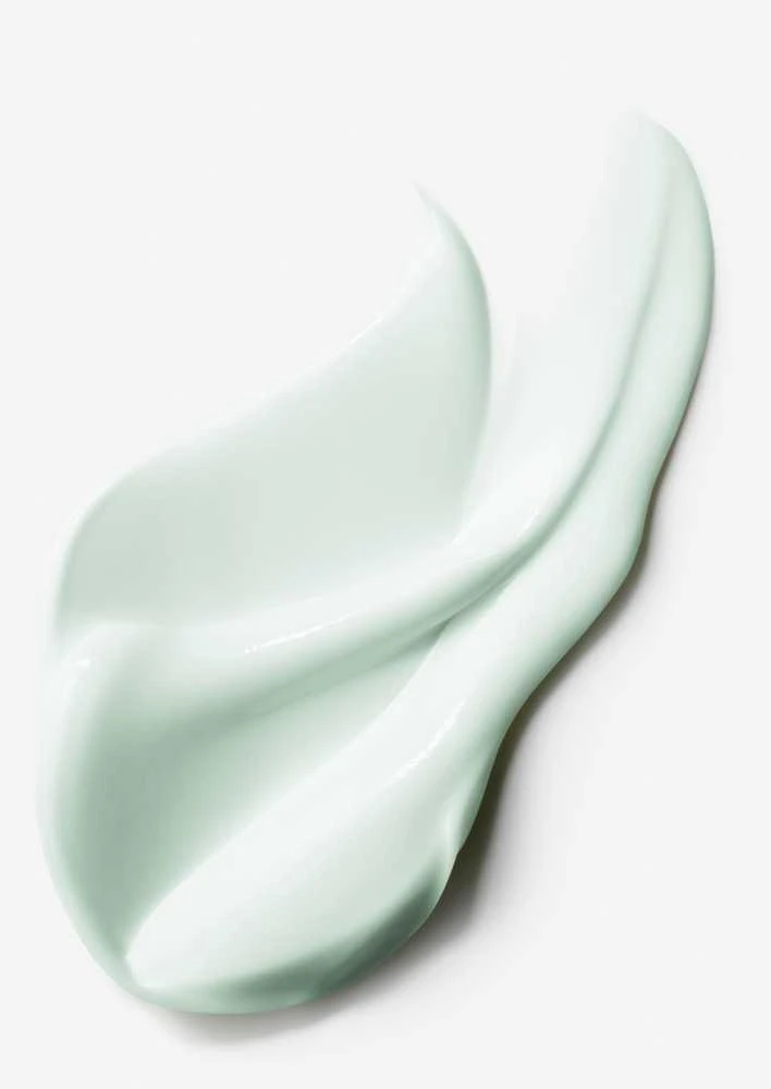 Estée Lauder NightWear Plus Anti-Oxidant Night Detox Creme dekotiksikuojantis naktis veido kremas, 50 ml