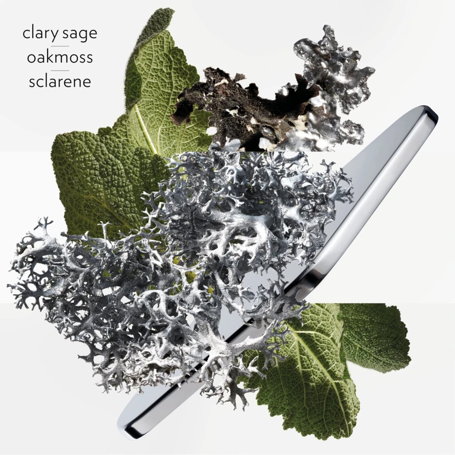 Kvepalai vyrams Hermes H24 EDP, 50 ml