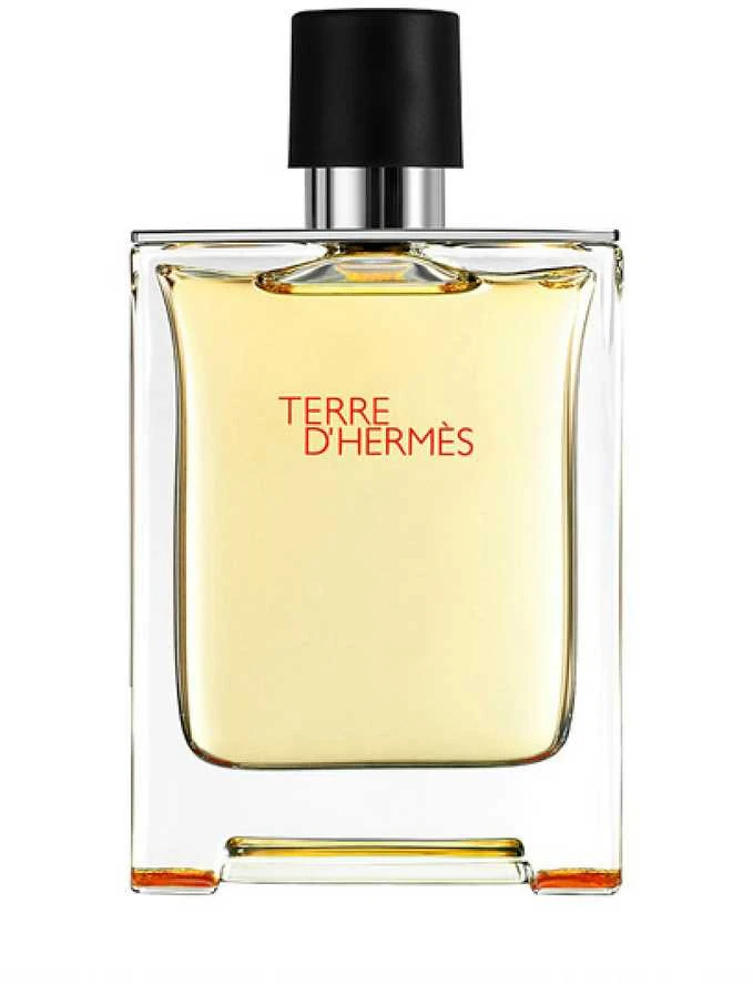 Hermes Terre D'hermes EDT tualetinis vanduo unisex, 200 ml